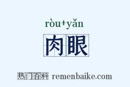 肉眼是什么意思的图片